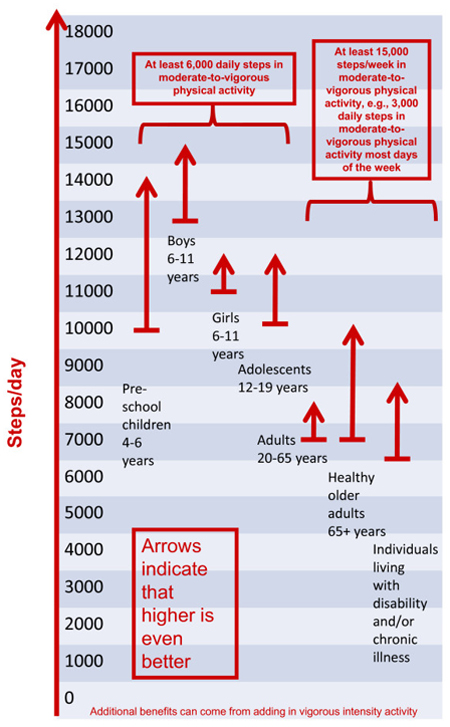 運動ダイエット